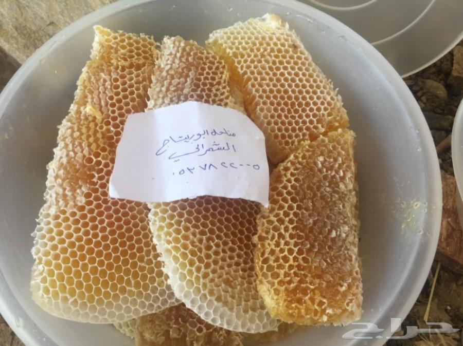 جمعتكم عسل سدر بلدي فاخر