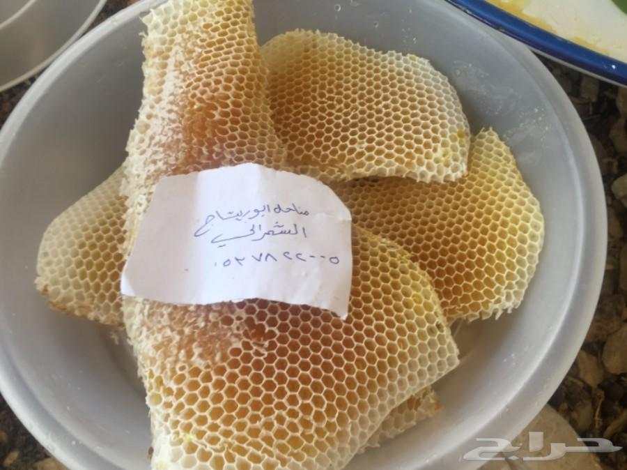 جمعتكم عسل سدر بلدي فاخر