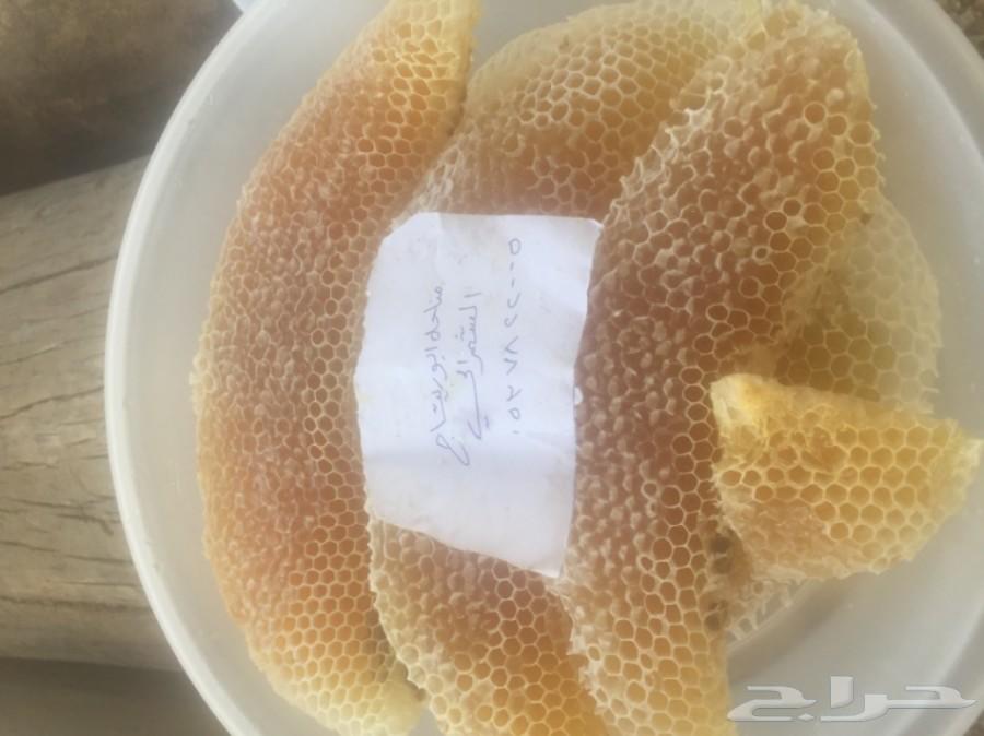 جمعتكم عسل سدر بلدي فاخر