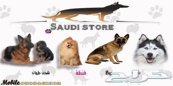 توصيل الحيوانات بين المدن