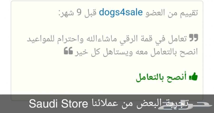 توصيل الحيوانات بين المدن