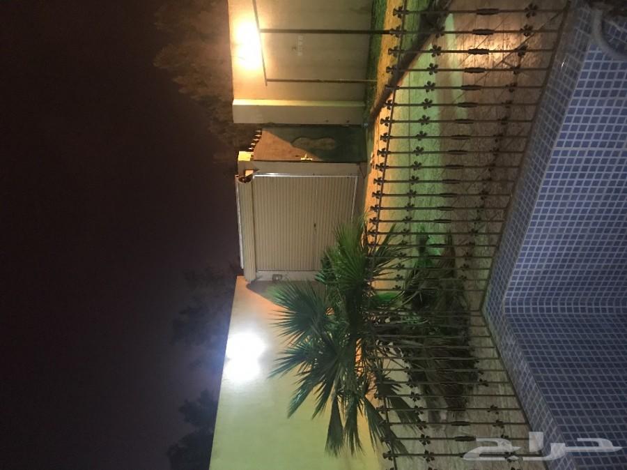 شالية بالقاع البارد قسم واحد