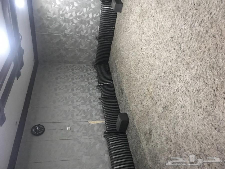 شالية بالقاع البارد قسم واحد