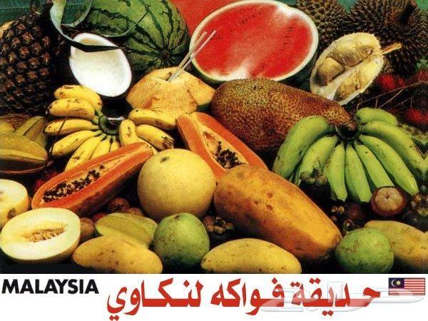 بكدج شهر عسل سياحى بماليزيا 9 ايام اربع نجوم