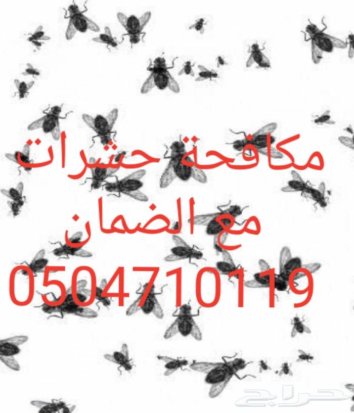 شركة رش مبيد رش مبيدات مكافحة حشرات