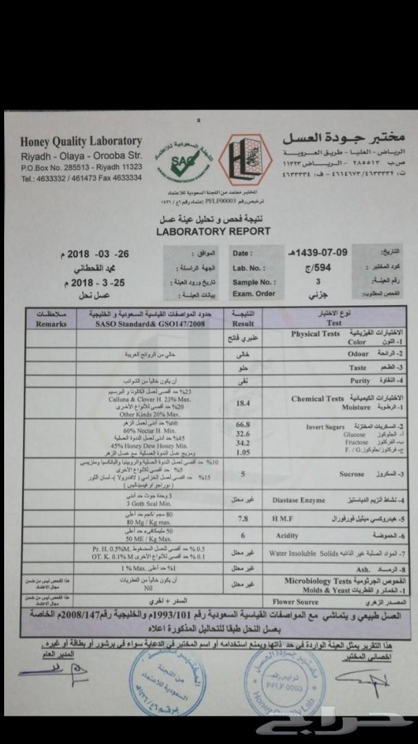 إن كنت تبحث عن عسل سدر مضمون وعلى الشرط