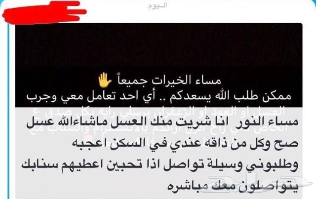 إن كنت تبحث عن عسل سدر مضمون وعلى الشرط