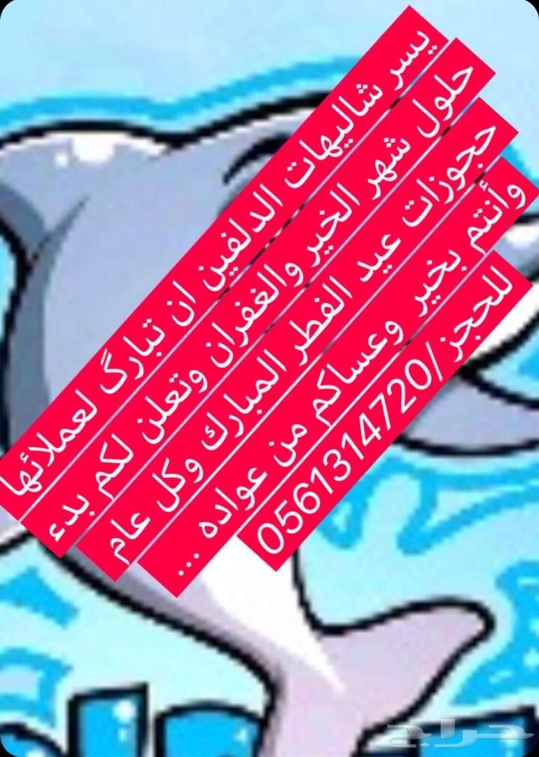 شاليهات الدلفين ..للألعاب المائيه والأستجمام