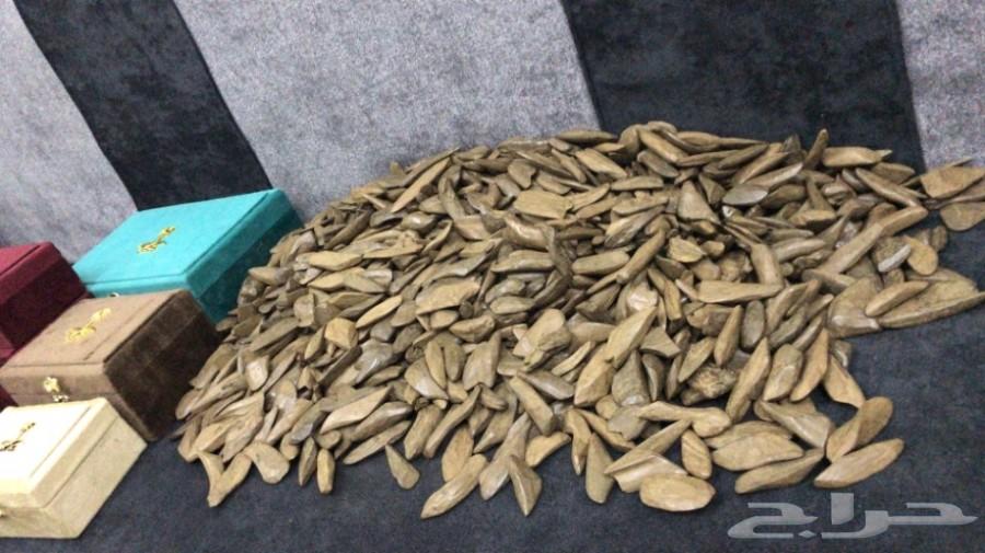 عندك عرس وتبي عود يجمل وعلى الشرط . تعال