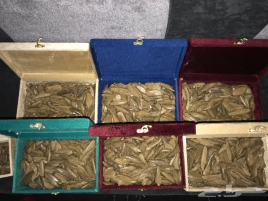 عندك عرس وتبي عود يجمل وعلى الشرط . تعال