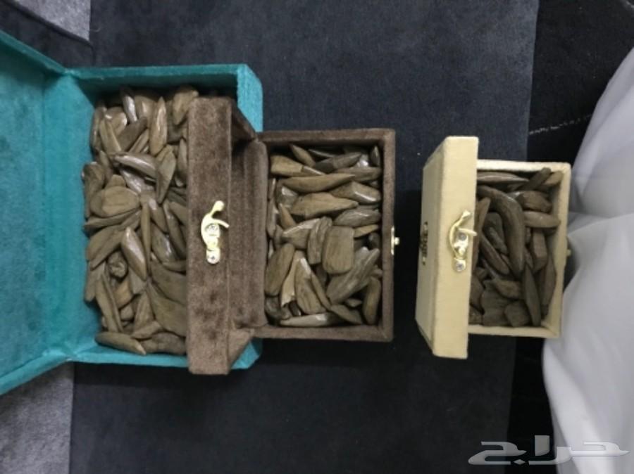 عندك عرس وتبي عود يجمل وعلى الشرط . تعال