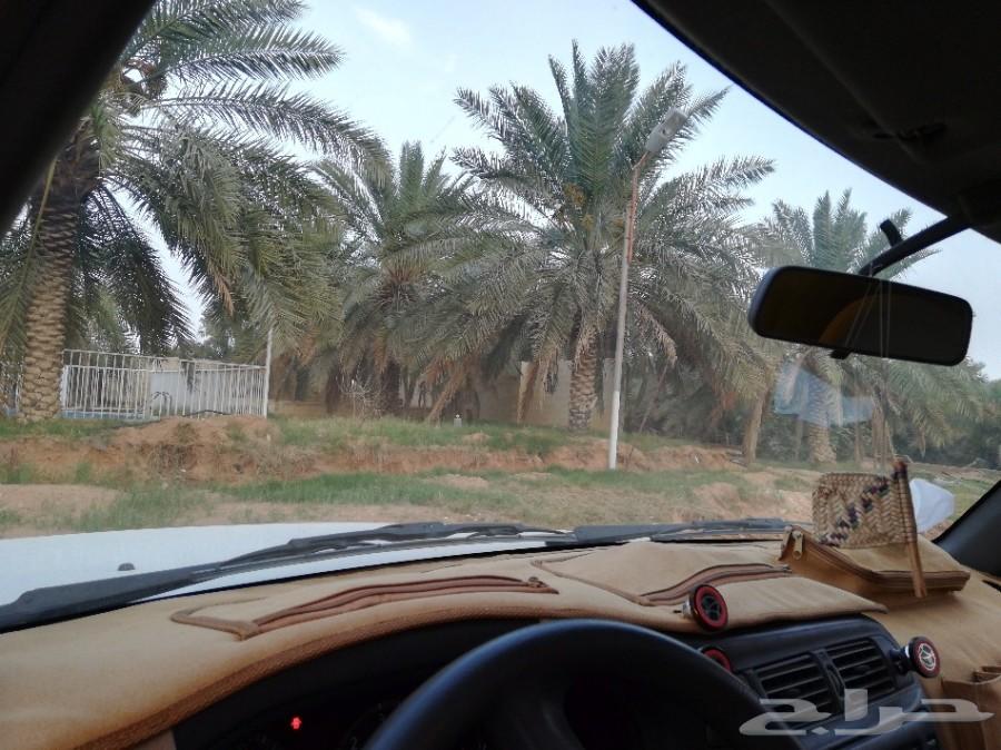 باترول شاص نيسان 2013 ابيض