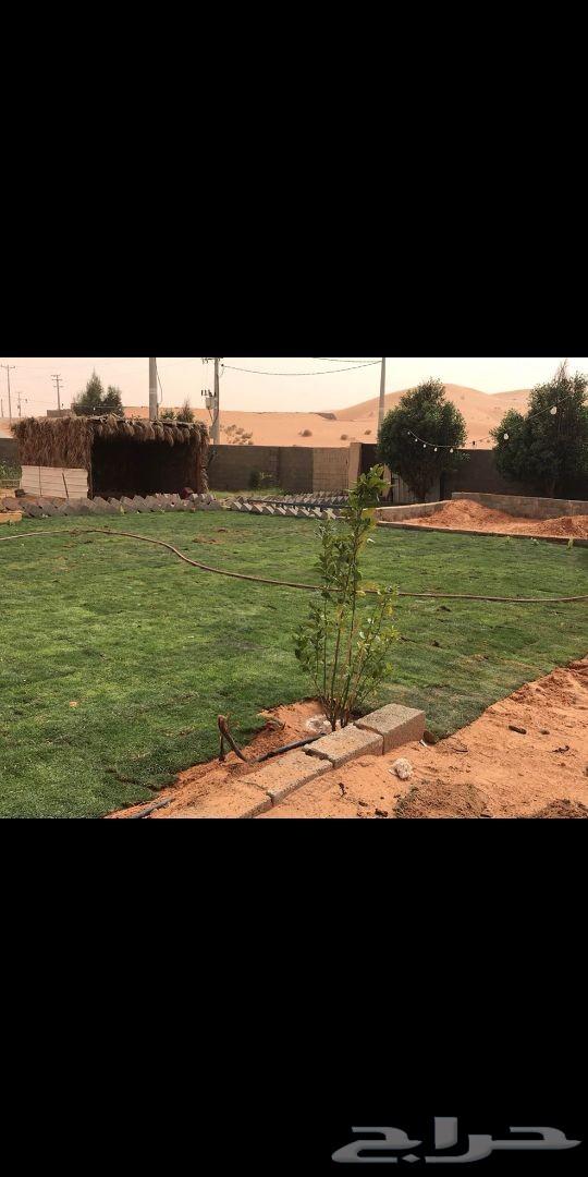 مزرعة للإيجار والبيع في أم شيح شرق الأسياح