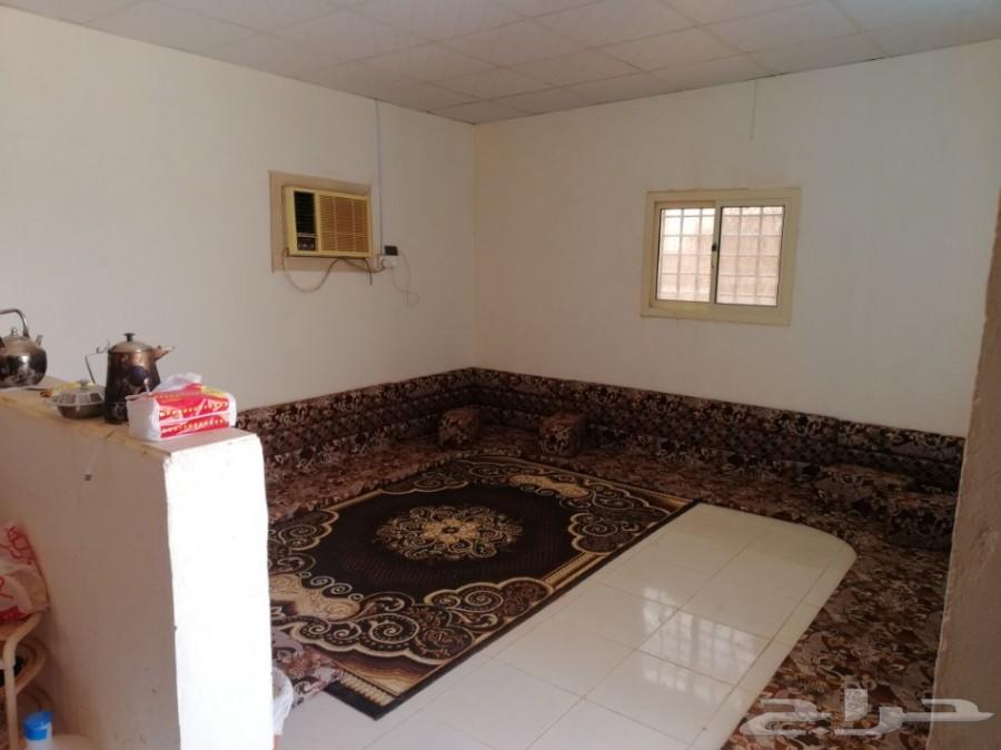 مزرعة للإيجار والبيع في أم شيح شرق الأسياح