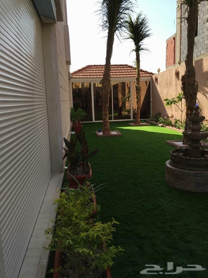 عشب صناعي أقوى العروض