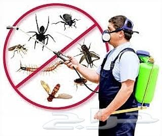 مكافحه حشرات رش مبيدات صراصير نمل فيران بق