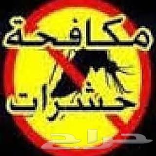مكافحه حشرات رش مبيدات صراصير نمل فيران بق