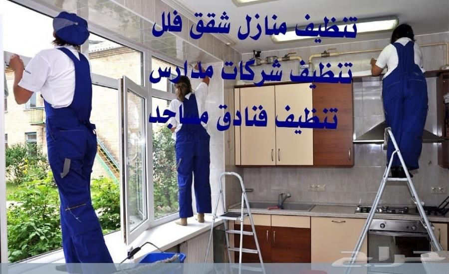 مكافحه حشرات رش مبيدات صراصير نمل فيران بق