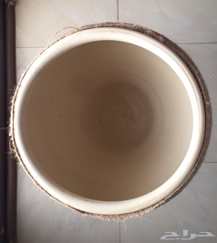 زير الكويت
