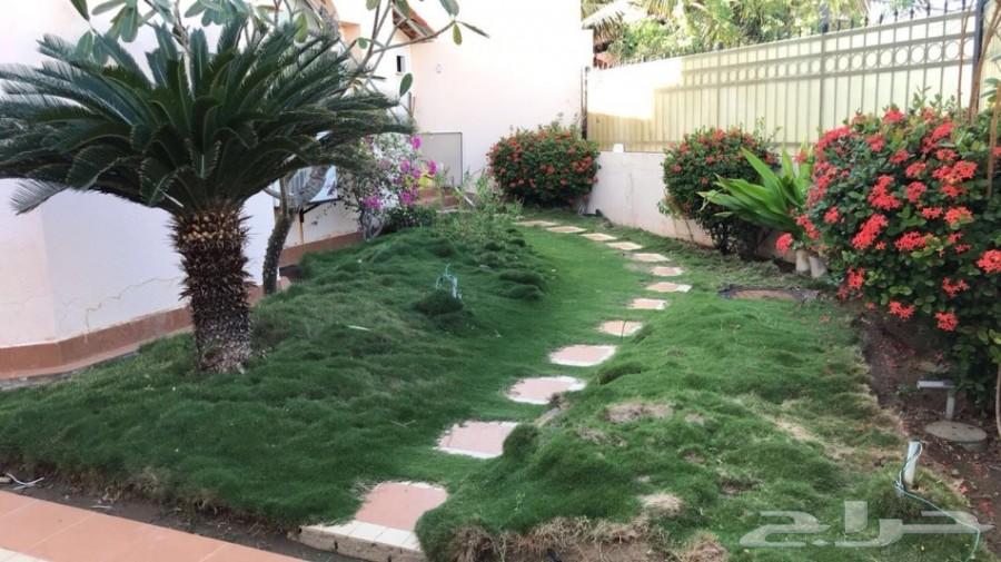 فيلا في مدينه البحيرات للأيجار على البحر