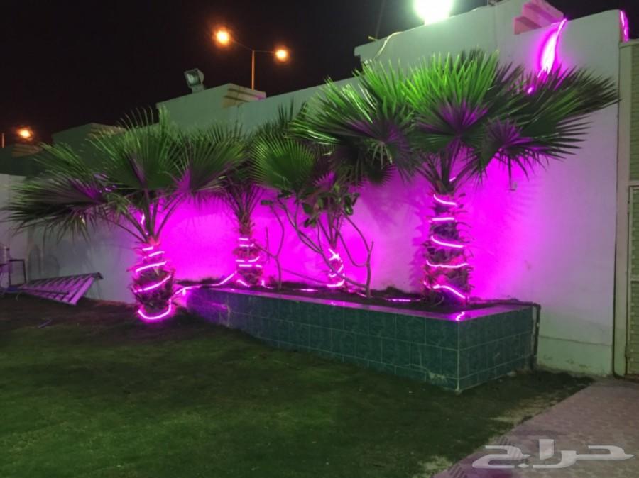 استراحه للايجار ايام العيد