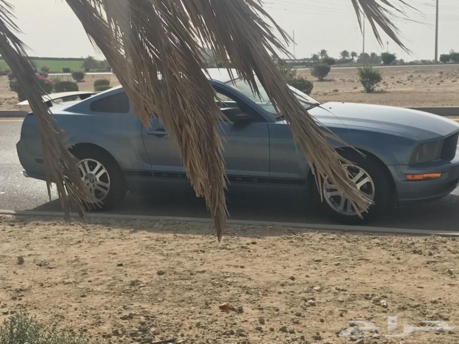 موستنق 2006