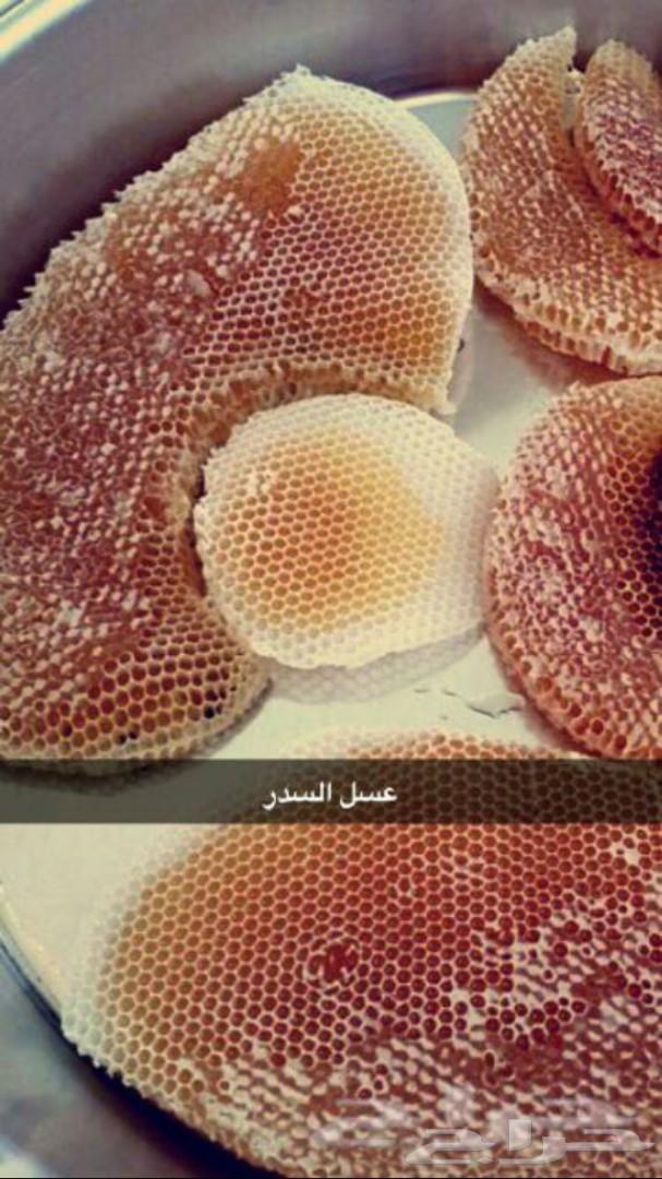 عسل السدره الجبلي وعسل السمره وعسل المتزوجين