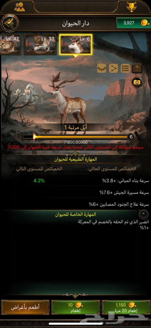قلعة هيبه 5 في مملكة 216 للبيع