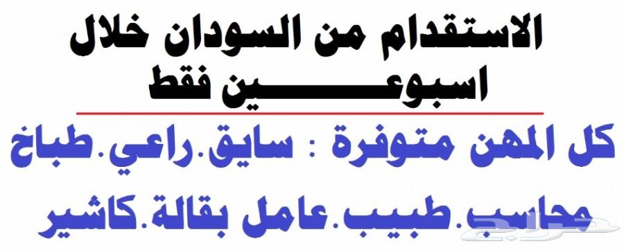تبي عامل مصري أو سوداني سايق.او راعي.سايق.طبي