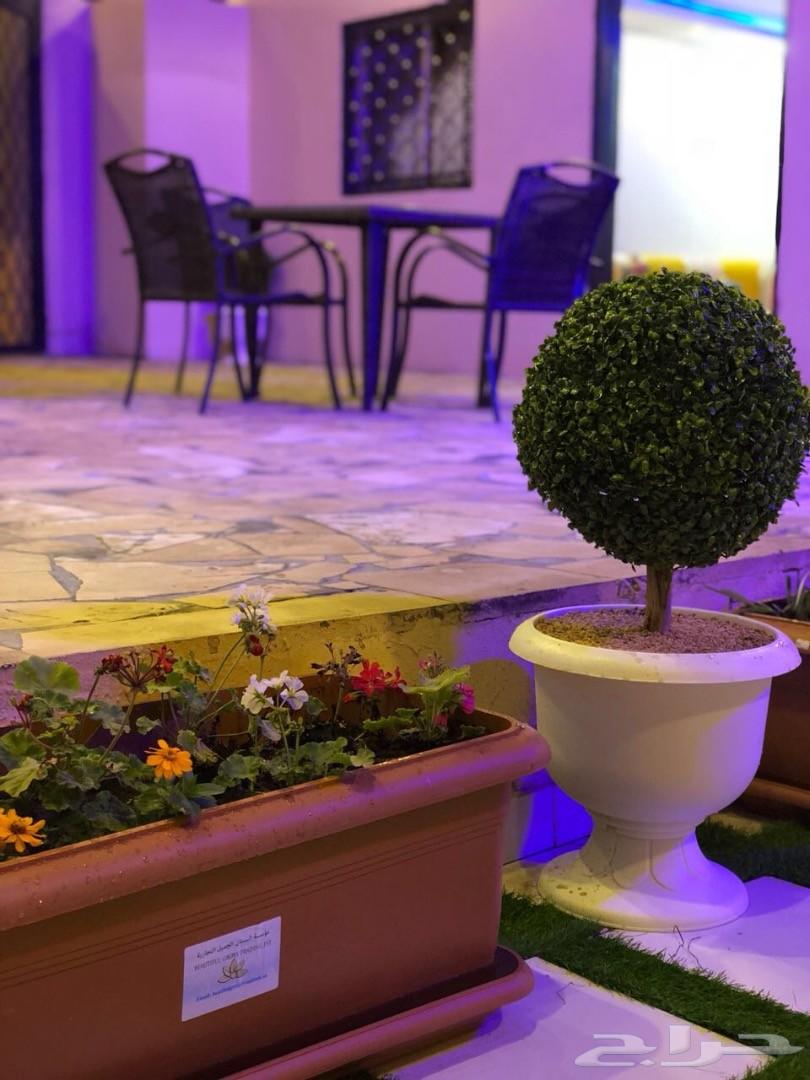 منتجع رويال ( الطائف - الحويه )