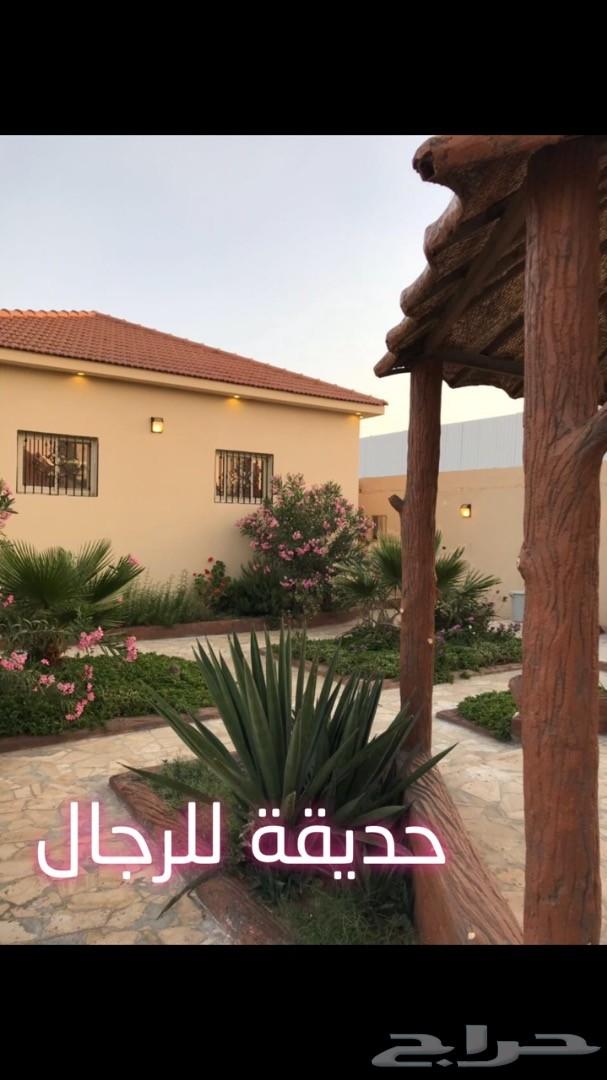 منتجع رويال ( الطائف - الحويه )