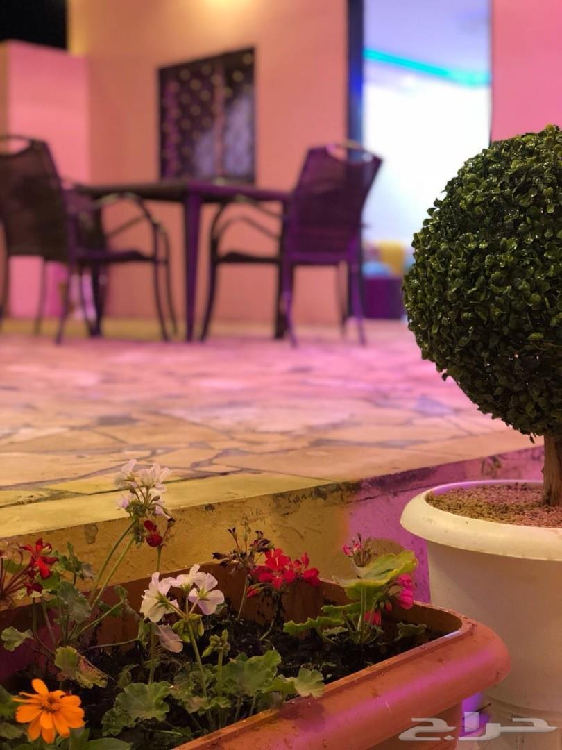منتجع رويال ( الطائف - الحويه )