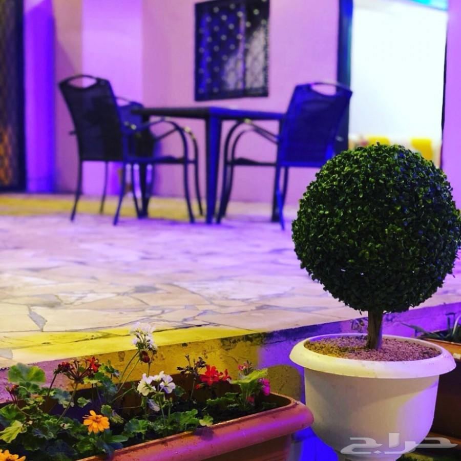 منتجع رويال ( الطائف - الحويه )
