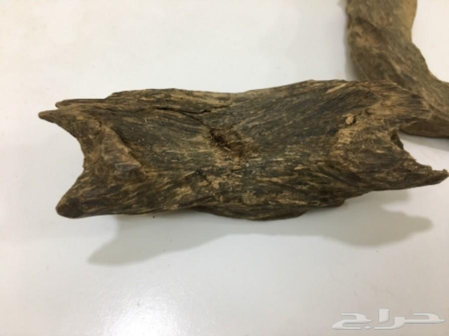 طيب عود كمبودي نادر و قديم جدا دبل سوبر فرصة