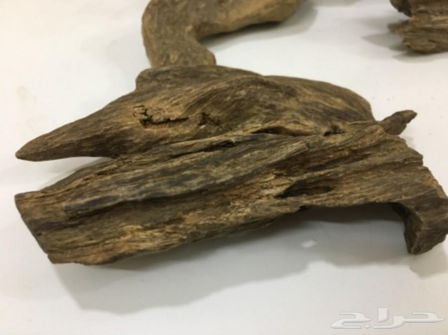 طيب عود كمبودي نادر و قديم جدا دبل سوبر فرصة