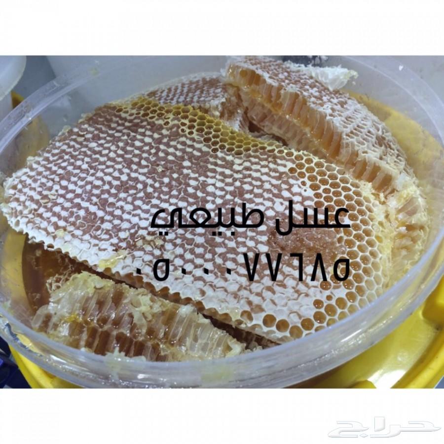عسل سدر طبيعي مضمون على شرط المختبر
