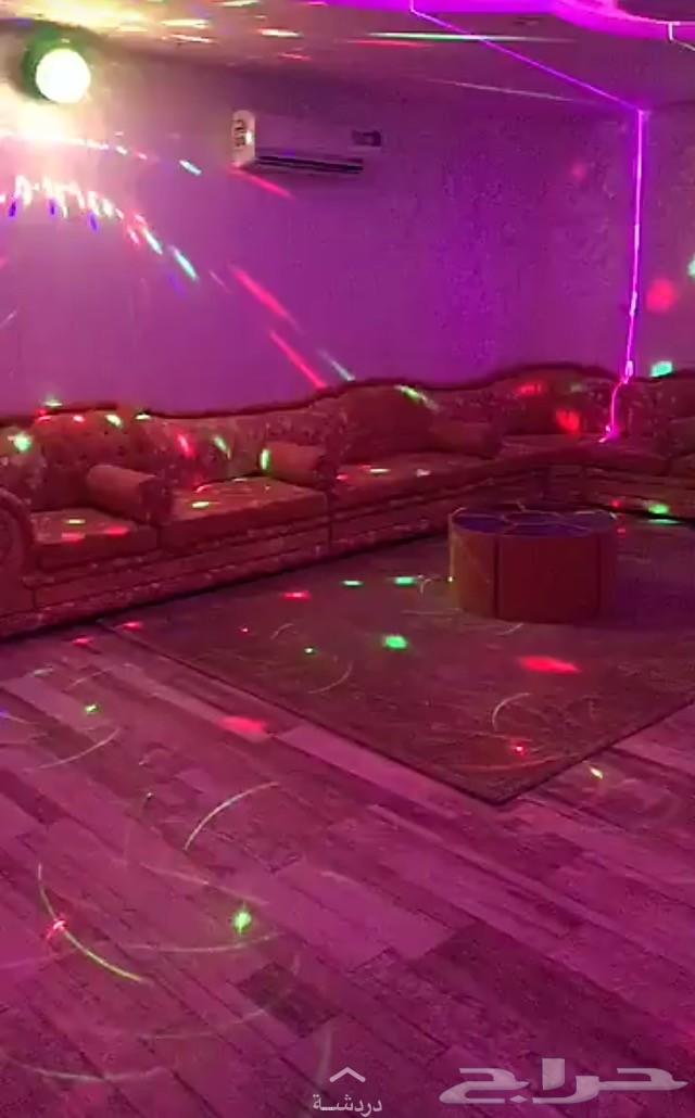 مون لايت للايجار اليومي