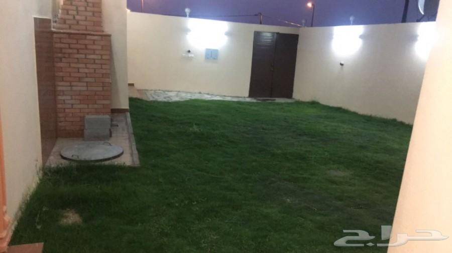 مون لايت للايجار اليومي