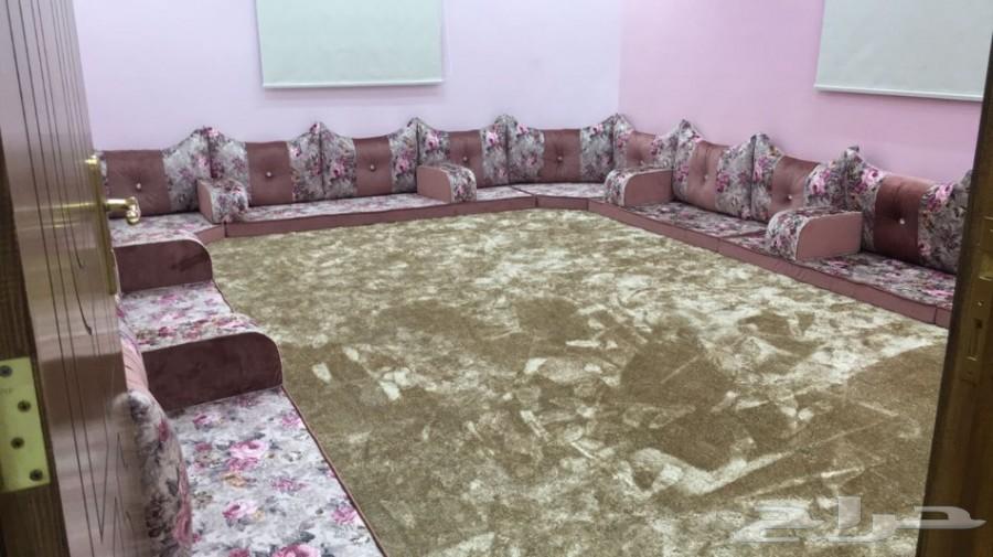 مون لايت للايجار اليومي
