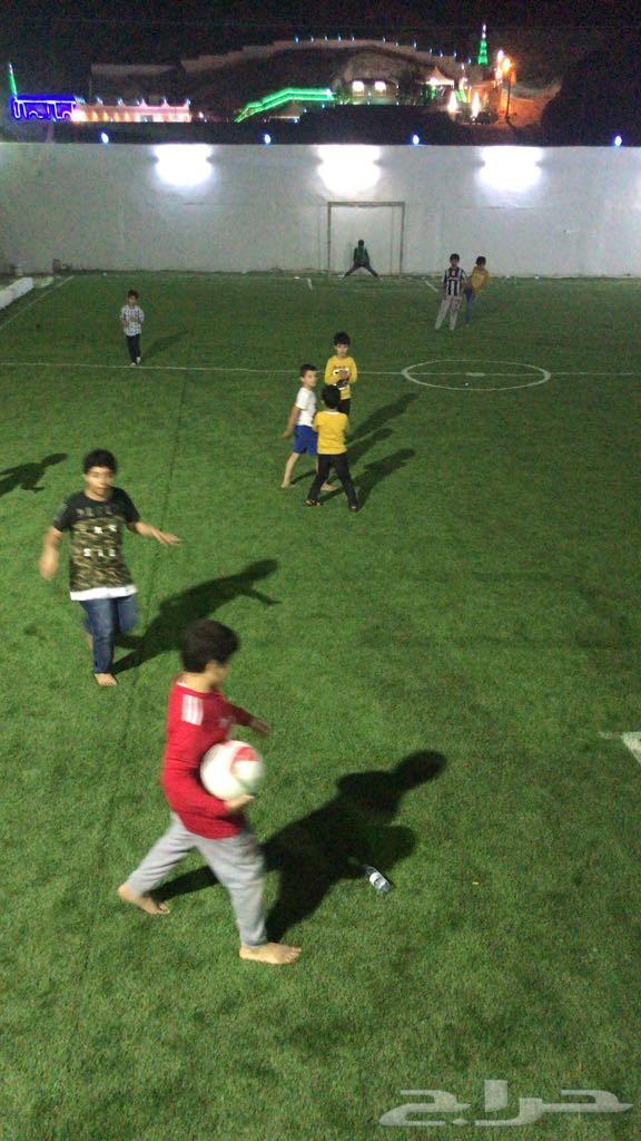 استراحة يارا