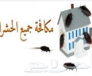 رش مبيد رش حشرات البيوت صراصير نمل فران برص