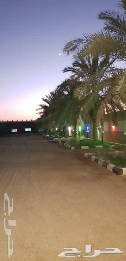 للبيع منتجع وارض مثمرة بالقاعد بحائل