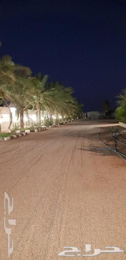 للبيع منتجع وارض مثمرة بالقاعد بحائل
