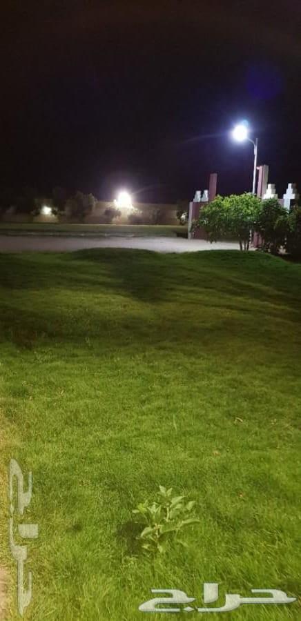 للبيع منتجع وارض مثمرة بالقاعد بحائل