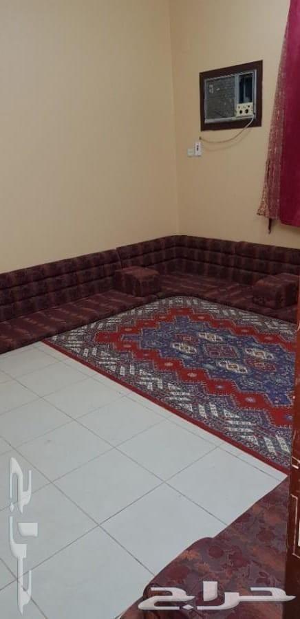للبيع منتجع وارض مثمرة بالقاعد بحائل
