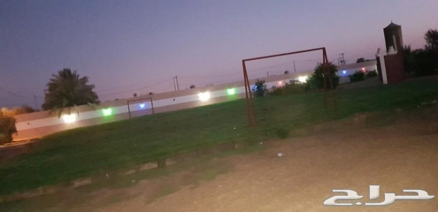 للبيع منتجع وارض مثمرة بالقاعد بحائل