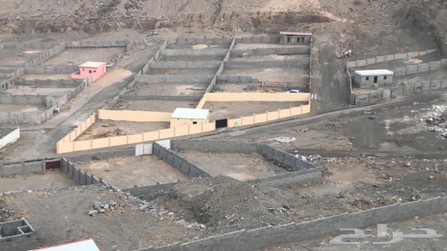 حوشين للبيع بجوار بعض في الحسينية بوثيقة