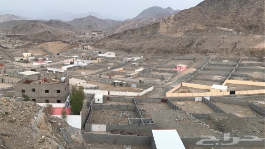 حوشين للبيع بجوار بعض في الحسينية بوثيقة