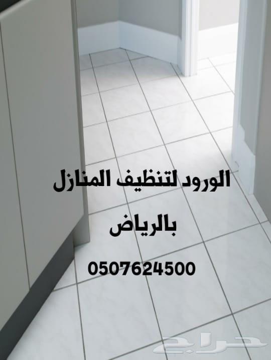 رش مبيد حشرات النمل الصراصير تنظيف كنب سجاد