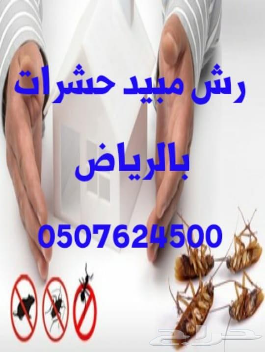 رش مبيد حشرات النمل الصراصير تنظيف كنب سجاد